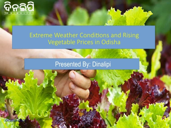 Extreme Weather Conditions and Rising Vegetable Prices in Odisha