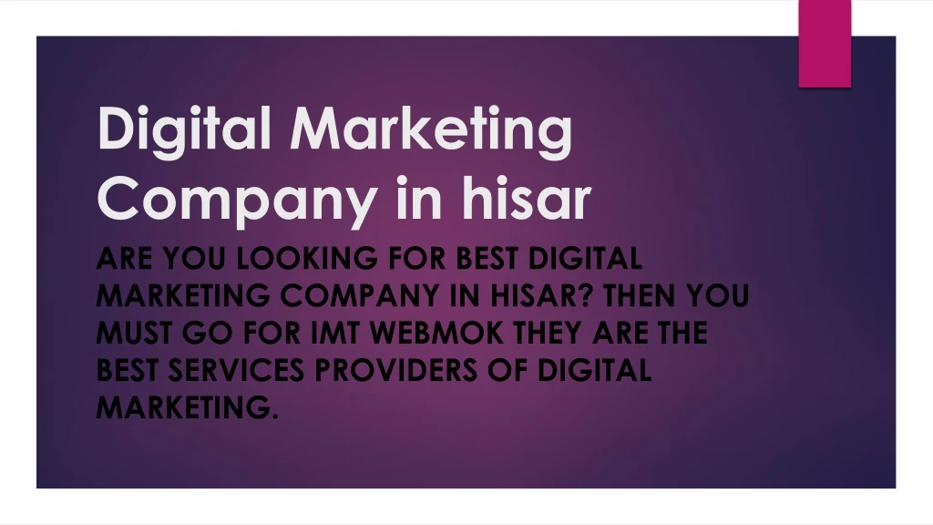 digital marketing company in hisar