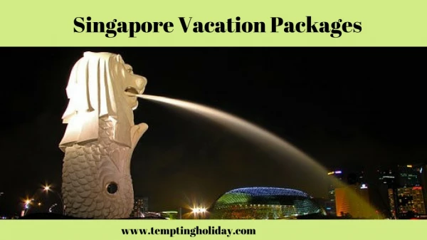 Get Singapore Packages at the Lowest Budget