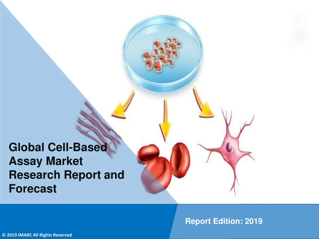 global cell based assay market research report