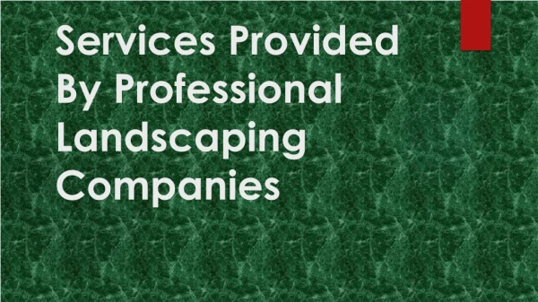 Services provided by professional landscaping companies