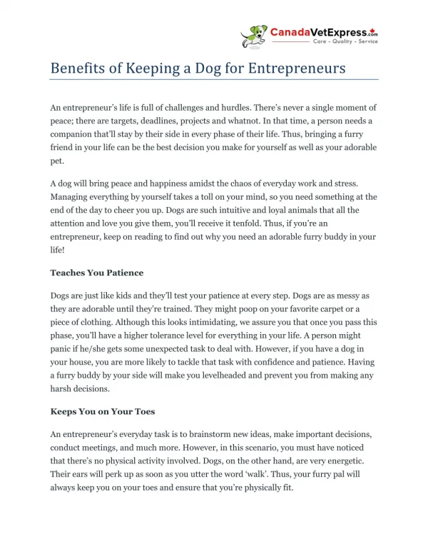 Benefits of Keeping a Dog for Entrepreneurs