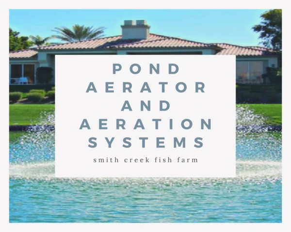 pond aerator and aeration systems at Smith creek fish farm