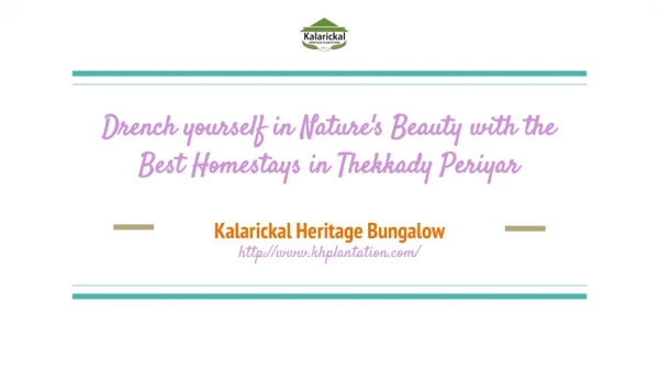 Drench yourself in Nature's Beauty with the Best Homestays in Thekkady Periyar