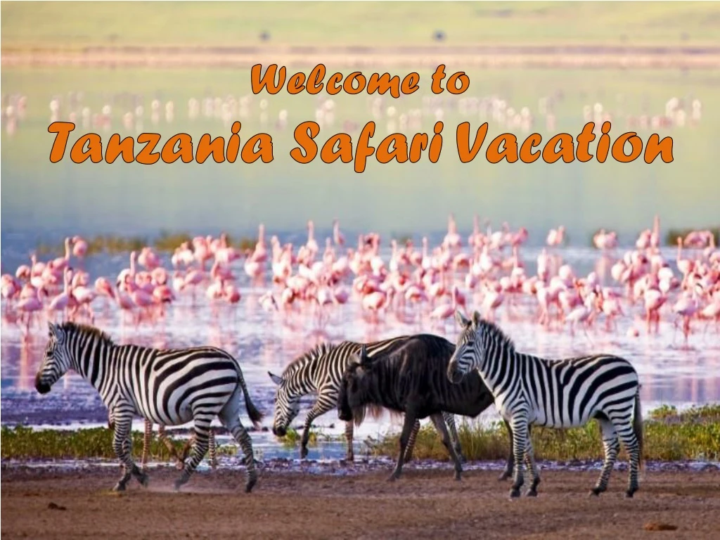 welcome to tanzania safari vacation