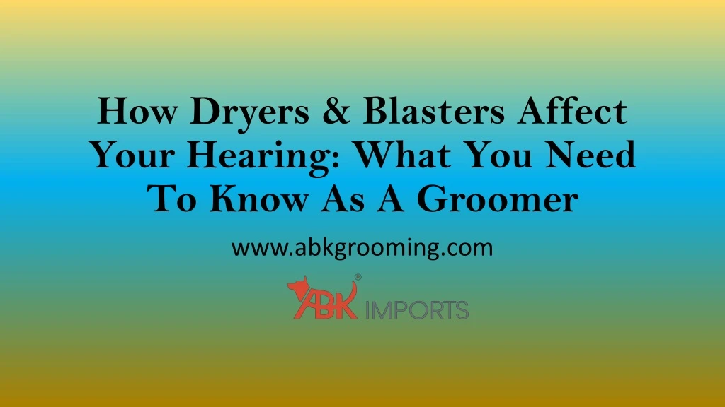 how dryers blasters affect your hearing what you need to know as a groomer
