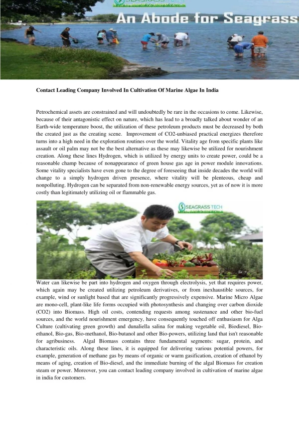 Cultivation Of Marine Algae In India