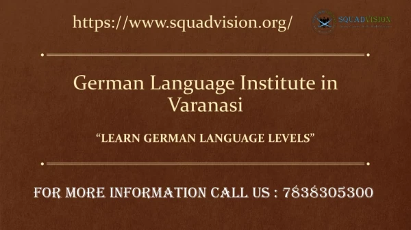 SquadVision Offering No. 1 German institute in varanasi