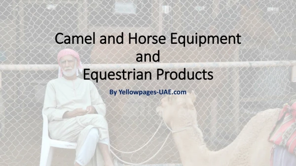Horse and Camel Equipment and Equestrian Products