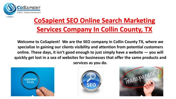 cosapient seo online search marketing services