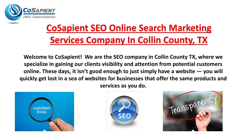 cosapient seo online search marketing services
