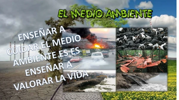 PUBLCO MI ACTIVIDAD: CONTAMINACION AMBIENTAL