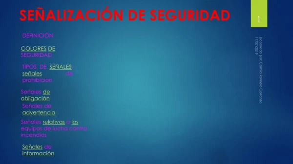 PUBLICO MI ACTIVIDAD : SEÑALIZACION DE SEGURIDAD