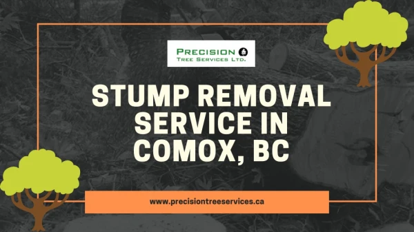 Stump Removal Service in Comox, BC