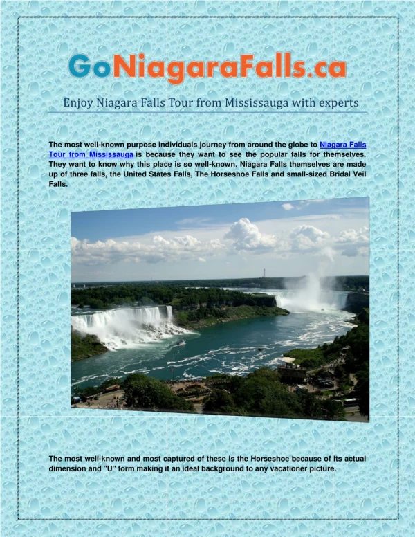 Enjoy Niagara Falls Tour from Mississauga with experts