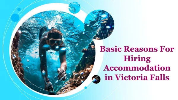 Basic Reasons For Hiring Accommodation in Victoria Falls
