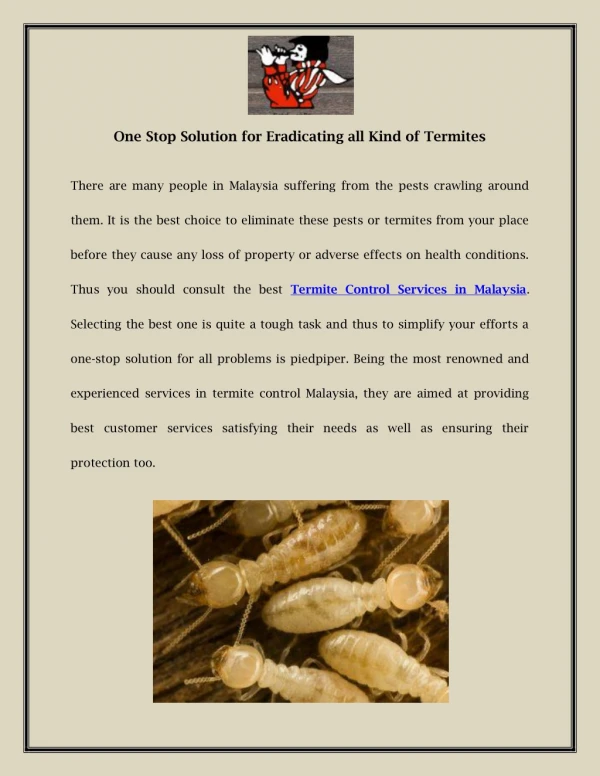 One Stop Solution for Eradicating all Kind of Termites