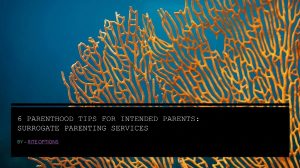 6 Parenthood Tips For Intended Parents: Surrogate Parenting Services