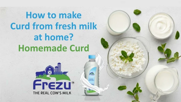 How to make curd from fresh milk at home
