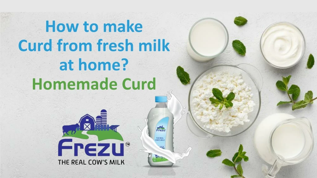 how to make curd from fresh milk at home homemade curd
