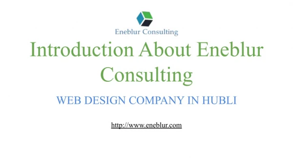 Introduction About Eneblur Consulting - Web Design Company in Hubli