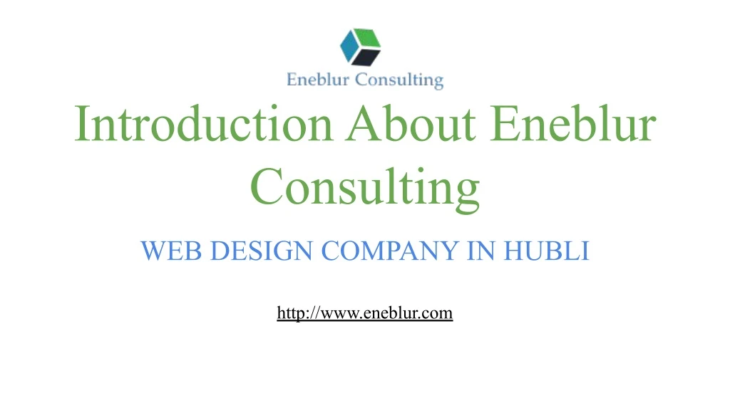 introduction about eneblur consulting