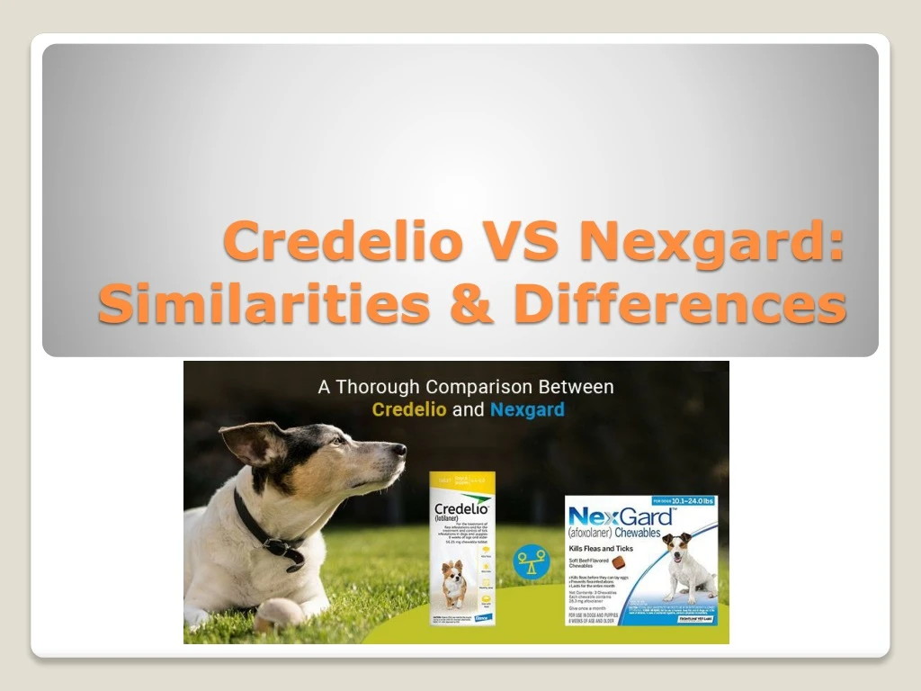 credelio vs nexgard similarities differences