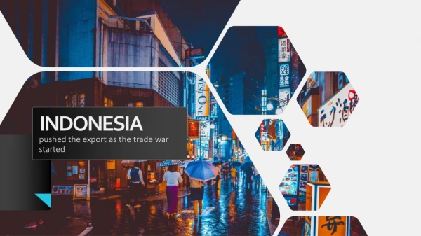 Indonesian trade data