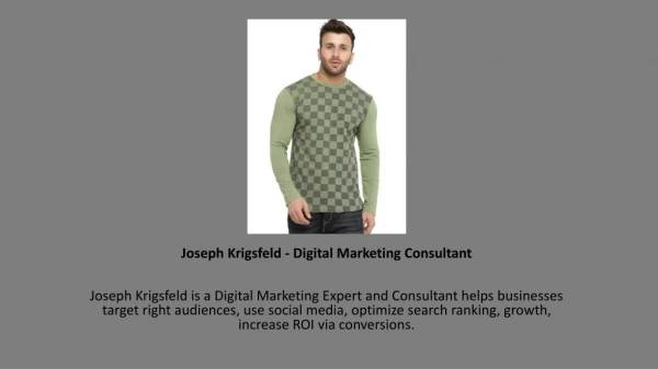 Joseph Krigsfeld - Digital Marketing Consultant