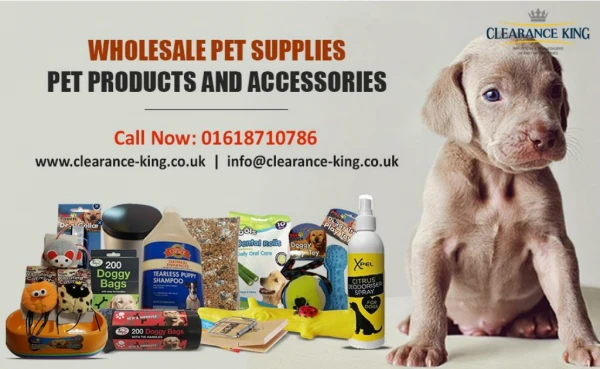 Wholesale Pet Supplies-Pet Products and Accessories