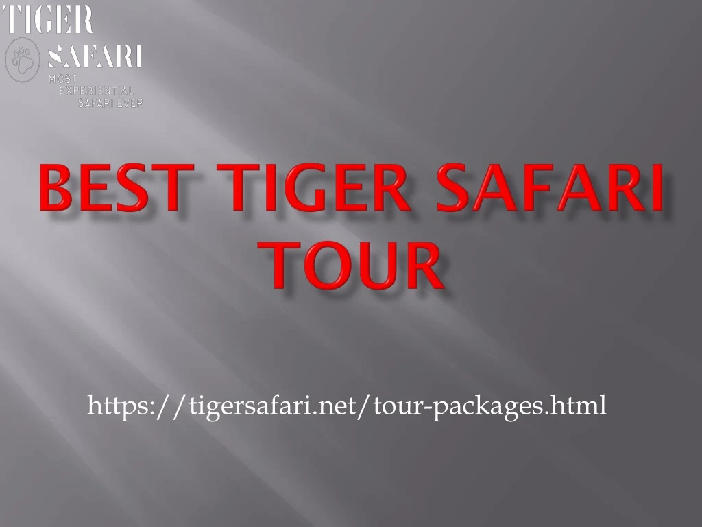 best tiger safari tour