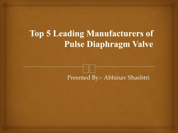 Top 5 Leading Manufacturers of Pulse Diaphragm Valve