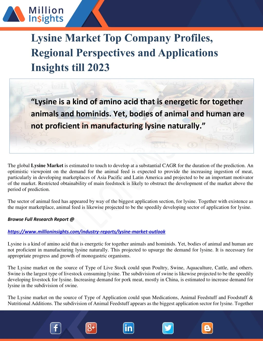 lysine market top company profiles regional