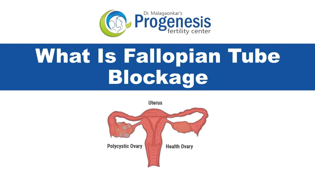 what is fallopian tube blockage