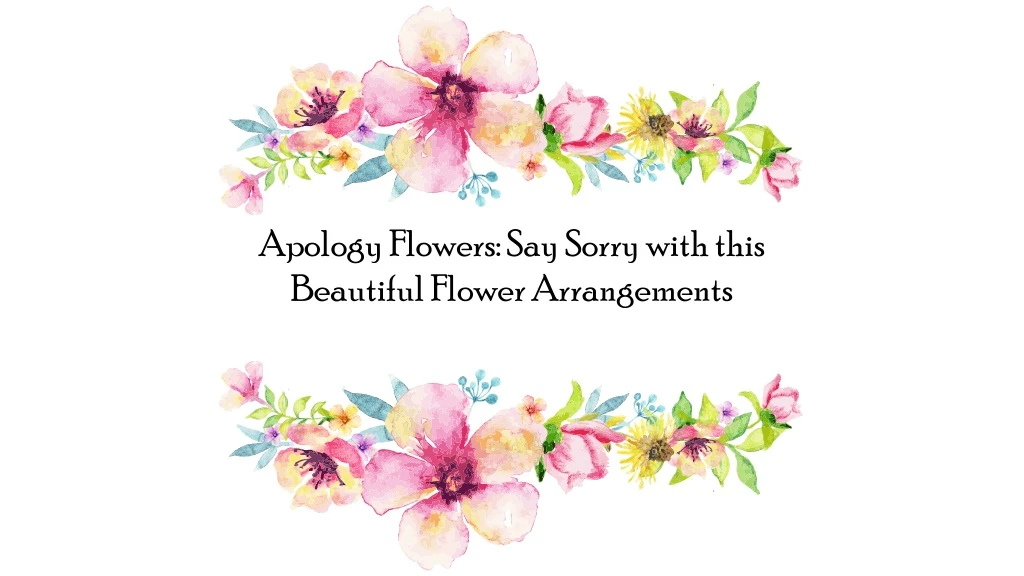 apology flowers say sorry with this beautiful