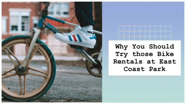 Why You Should Try those Bike Rentals at East Coast Park