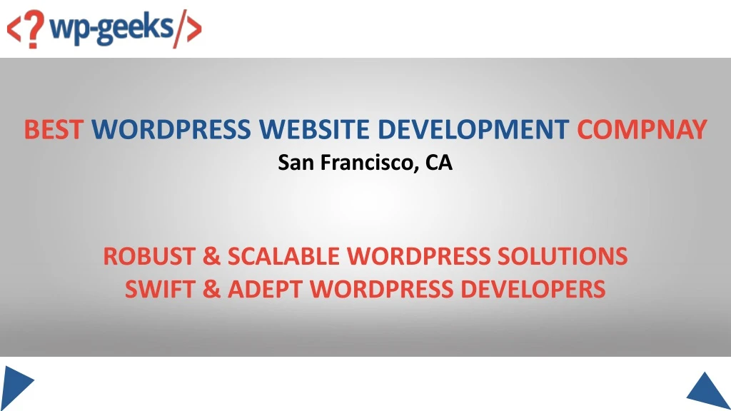 best wordpress website development compnay