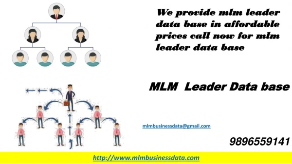 Mlm business data how to Business Network marketing