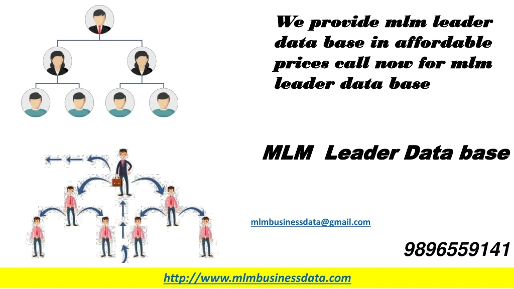 we provide mlm leader data base in affordable