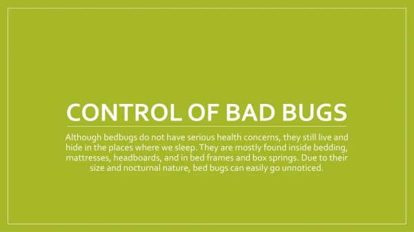 Pest Control Companies Indianapolis IN