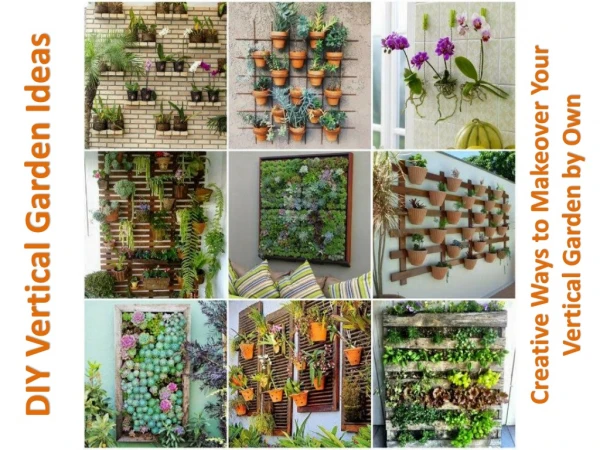 Creative Ways to Build Your Vertical Garden by Own