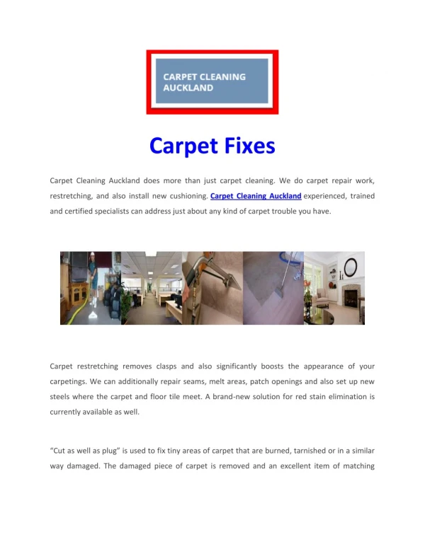 Carpet Cleaning Auckland, Truck Mount, North Shore, West Auckland