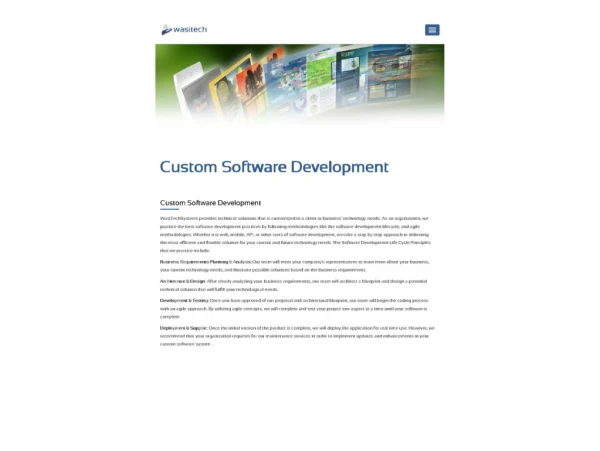 Custom Software Development and Configuration Services in USA