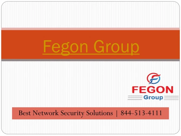 Fegon Group | Call: 844-513-4111 Best Network Security Services