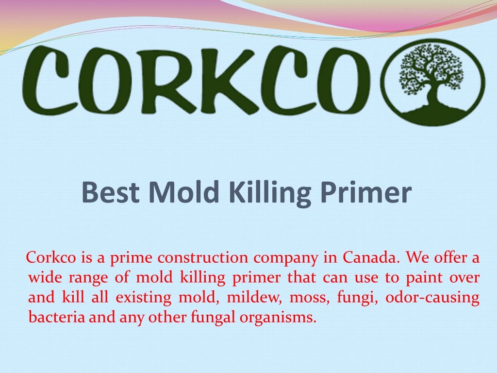 best mold killing primer