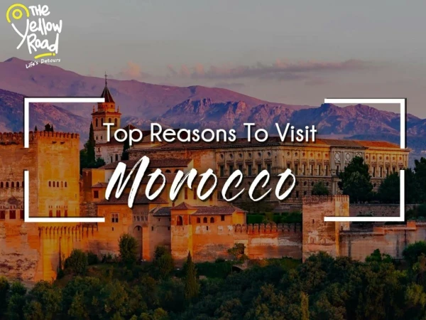 Top Reasons To Visit Morocco