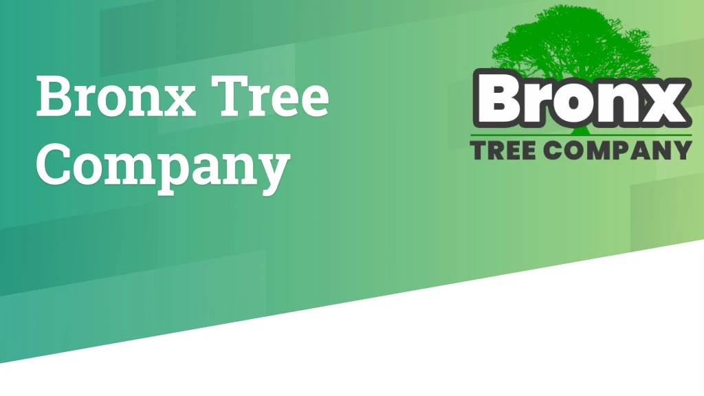 bronx tree company
