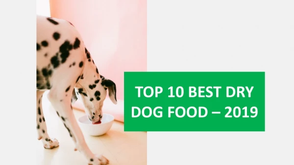 TOP 10 BEST DRY DOG FOOD – 2019