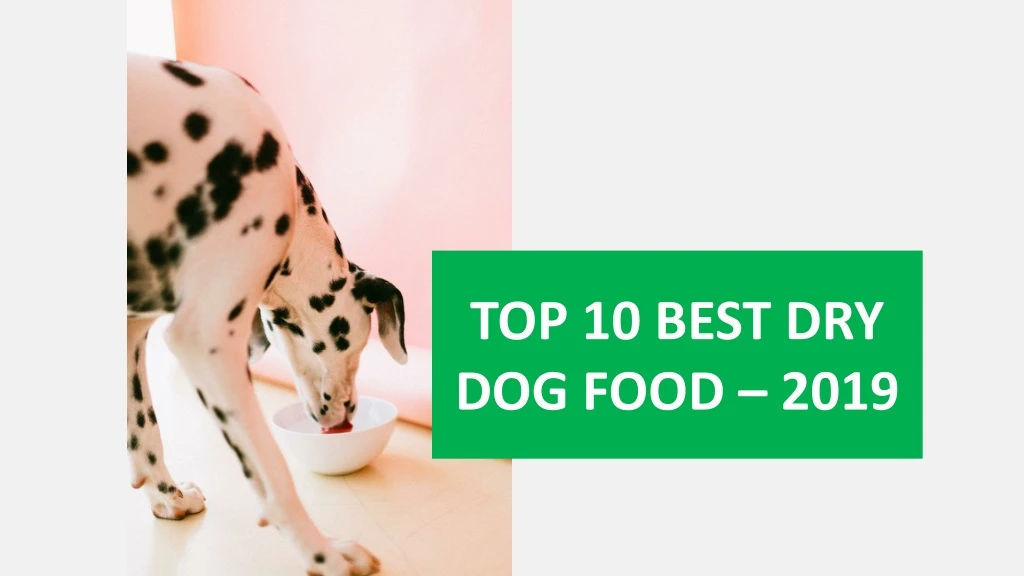 top 10 best dry dog food 2019