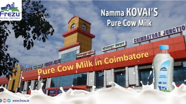 Pure cow milk in coimbatore